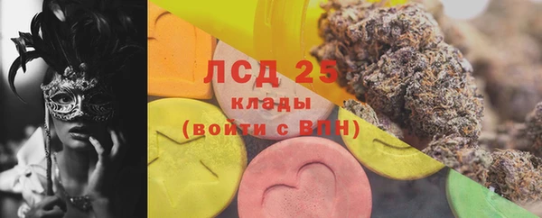 шишки Алзамай