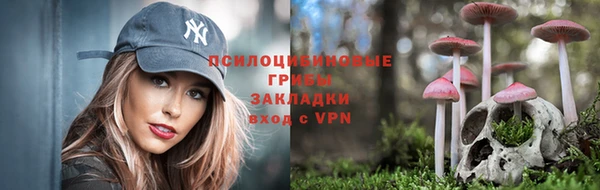 шишки Алзамай