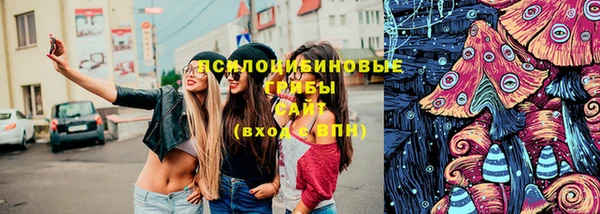 шишки Алзамай